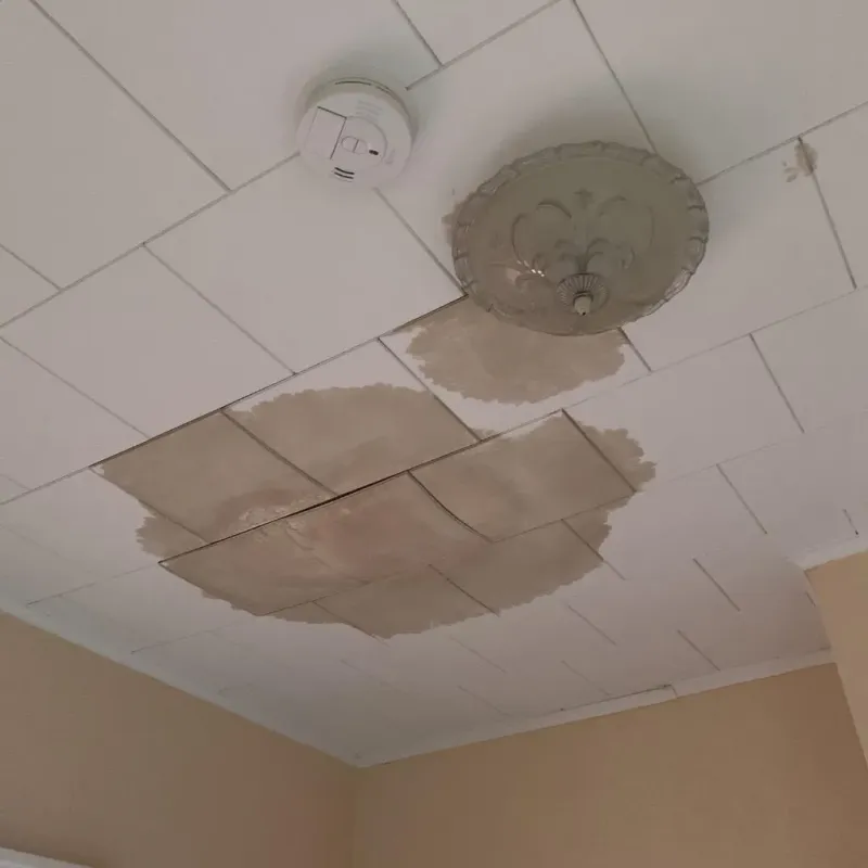 Ceiling Water Damage Repair in Sherman County, KS