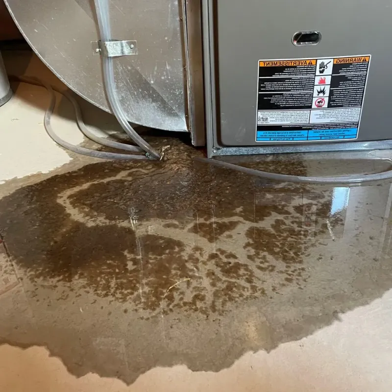 Pipe Burst and Leak Restoration in Sherman County, KS