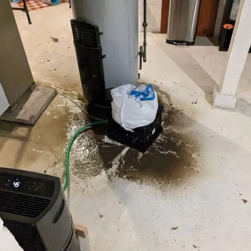 Sewage Backup Cleanup Service in Sherman County, KS